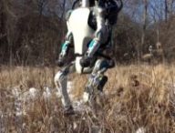 boston dynamics
