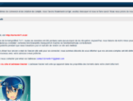 T411 torrent torrent411