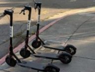 bird scooter