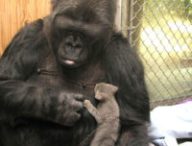 Koko-and-MsGray_0119