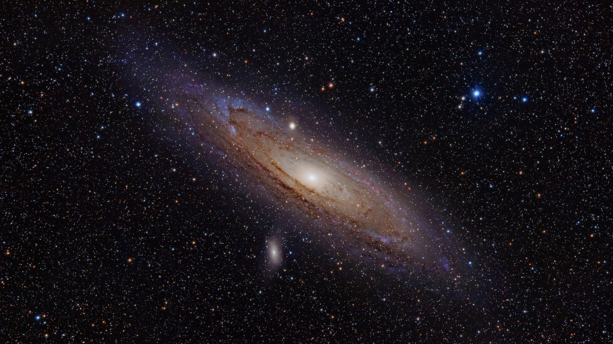 La galaxie d'Andromède. // Source : Wikimedia Commons/Adam Evans La galaxie d'Andromède. // Source : Wikimedia Commons/Adam Evans