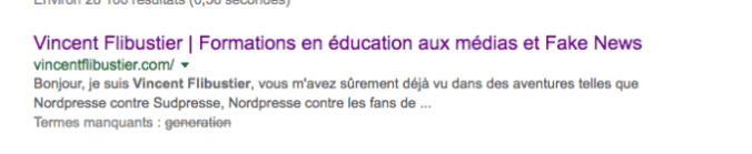 Présentation du site de Vincent Flibustier // Source : Google
