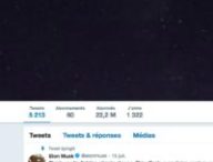 Compte Twitter officiel d'Elon Musk // Source : Twitter/Elon Musk