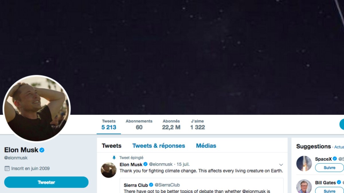 Compte Twitter officiel d'Elon Musk // Source : Twitter/Elon Musk Compte Twitter officiel d'Elon Musk // Source : Twitter/Elon Musk