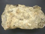 Fatberg de Whitechapel // Source : Musée de Londres