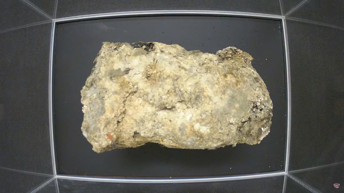 Fatberg de Whitechapel // Source : Musée de Londres Fatberg de Whitechapel // Source : Musée de Londres