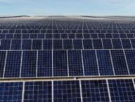 Une ferme de panneaux solaires. // Source : Facebook