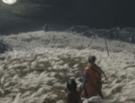 Sekiro: Shadows Die Twice // Source : Activision