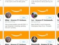 Capture d'écran des comptes des « ambassadeurs FC Amazon » // Source : Twitter