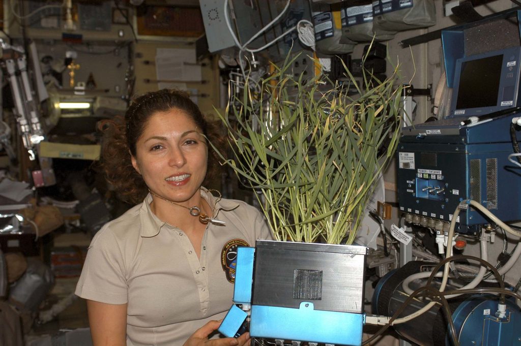 Anousheh Ansari Anousheh Ansari