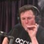Elon musk en train de fumer un joint dans un podcast filmé, diffusé le 7 septembre 2018 // Source : YouTube/PowerfulJRE Elon musk en train de fumer un joint dans un podcast filmé, diffusé le 7 septembre 2018 // Source : YouTube/PowerfulJRE