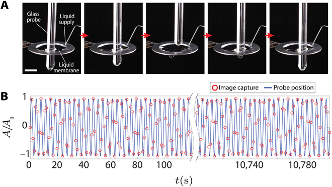 Testé pendant 3 heures, le filtre ne s'est pourtant pas percé. // Source : Science Advances Testé pendant 3 heures, le filtre ne s'est pourtant pas percé. // Source : Science Advances