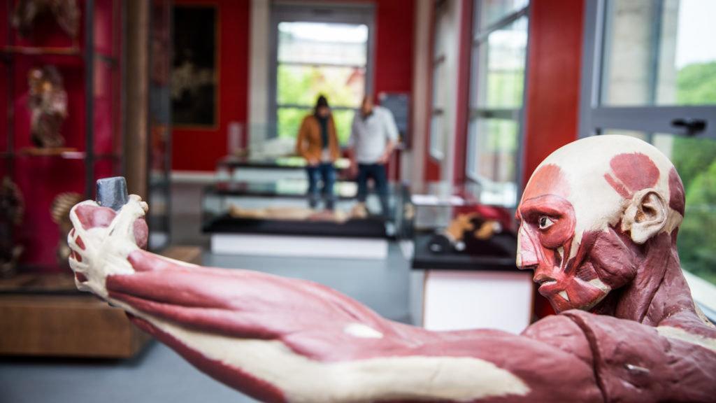 Rendez-vous au musée d'anatomie de Montpellier... si vous n'avez pas peur des instruments de chirurgie. // Source : UM - David Richard / Transit Rendez-vous au musée d'anatomie de Montpellier... si vous n'avez pas peur des instruments de chirurgie. // Source : UM - David Richard / Transit