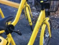Des vélos Ofo en libre-service // Source : Flickr/Noya Fields