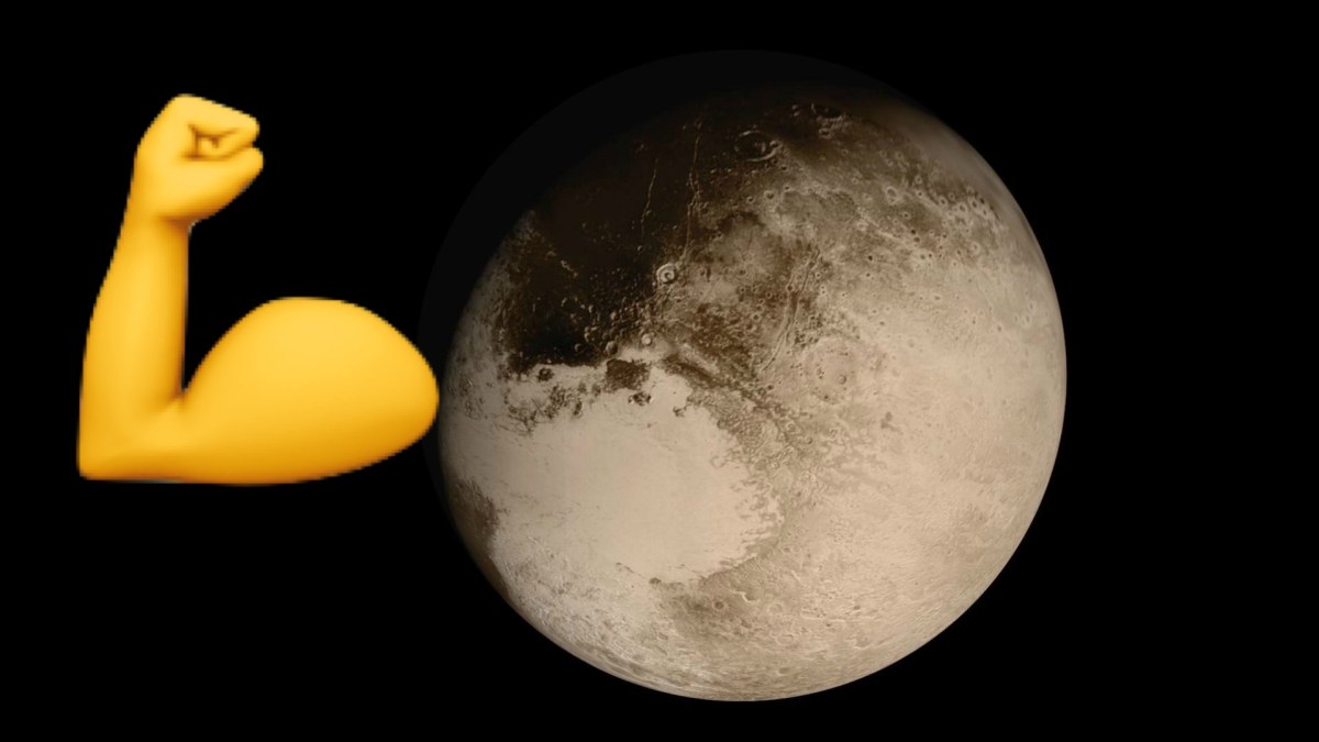 Pluton // Source : Wikimedia/NASA/Johns Hopkins University Applied Physics Laboratory/Southwest Research Institute Pluton // Source : Wikimedia/NASA/Johns Hopkins University Applied Physics Laboratory/Southwest Research Institute