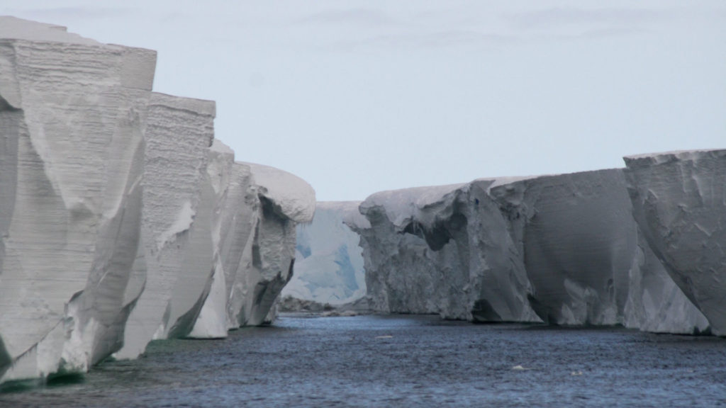 La barrière de Ross en Antarctique. // Source : Wikimedia/CC/Lin Padgham La barrière de Ross en Antarctique. // Source : Wikimedia/CC/Lin Padgham
