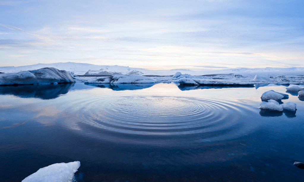 L'Arctique // Source : PixaBay/FreePhotos L'Arctique // Source : PixaBay/FreePhotos