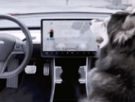 Tesla Dog Mode // Source : Capture Twitter du 14 février 2019