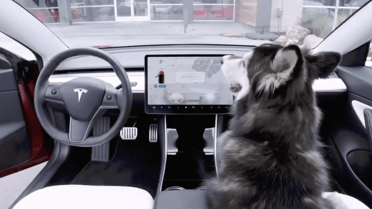 Tesla Dog Mode // Source : Capture Twitter du 14 février 2019 Tesla Dog Mode // Source : Capture Twitter du 14 février 2019
