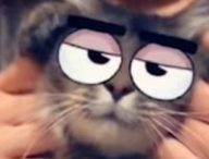 Votre chat va vous détester, mais c'est assez mignon. // Source : Capture d'écran / Snapchat / YouTube