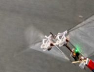 Un petit robot volant pour remplacer les abeilles ? // Source : The DelFly Project