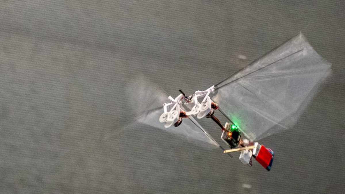Un petit robot volant pour remplacer les abeilles ? // Source : The DelFly Project Un petit robot volant pour remplacer les abeilles ? // Source : The DelFly Project