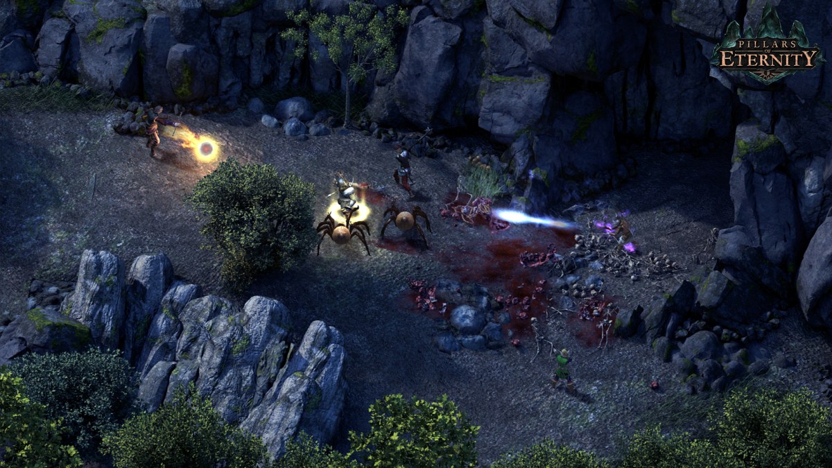 Pillars of Eternity // Source : Obsidian Pillars of Eternity // Source : Obsidian