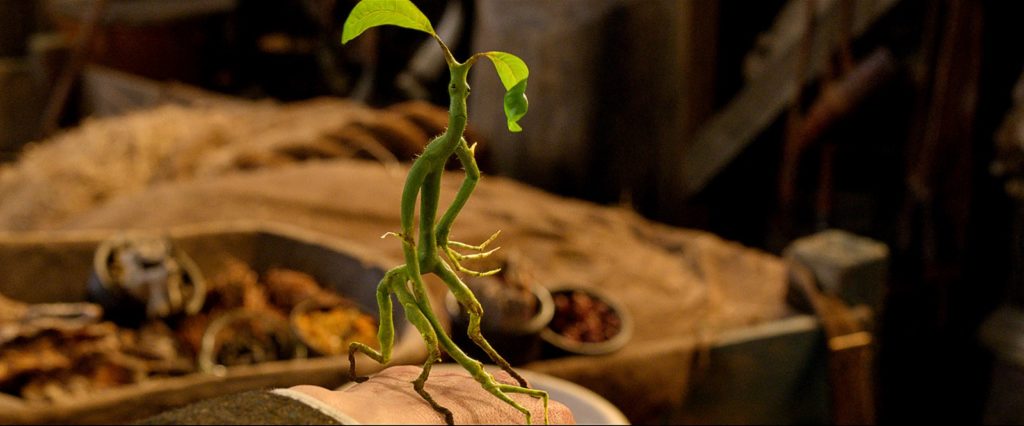 Les Animaux fantastiques // Source : Warner Bros. Les Animaux fantastiques // Source : Warner Bros.