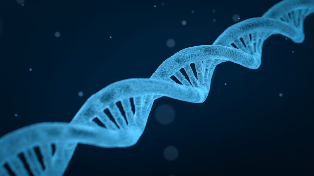 Seul un test ADN pourra rétablir la vérité, estiment des scientifiques. // Source : Pixabay/CC0 Seul un test ADN pourra rétablir la vérité, estiment des scientifiques. // Source : Pixabay/CC0