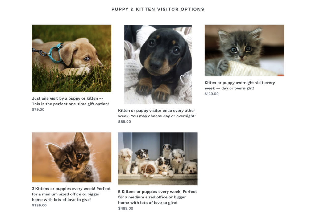 Louer des chatons, ça a un prix // Source : Rescue Time Louer des chatons, ça a un prix // Source : Rescue Time