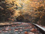 Les feuilles qui tombent en automne peuvent perturber les transports en commun. // Source : Pixabay/CC0 photo recadrée