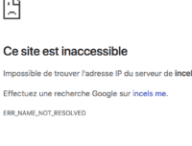 La procédure d'avertissement de incels.me a débuté le 8 mai, et s'est terminée par la suspension à durée indéterminée le 15 octobre 2018. 