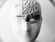 L'hypothèse du cerveau culturel. // Source : Pexels/CC/meo (photo recadrée)