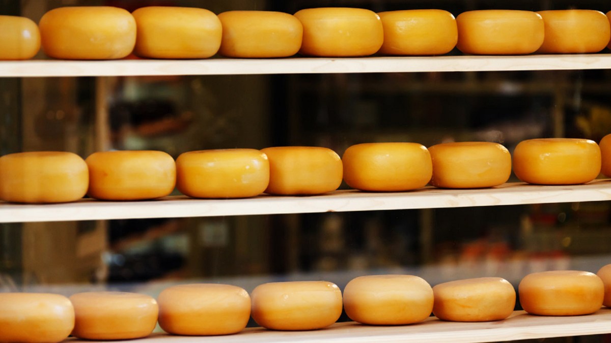 Des fromages, alignés sur des étagères. // Source : publicdomainpictures.net Des fromages, alignés sur des étagères. // Source : publicdomainpictures.net