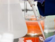 Des tests génétiques sauraient déterminer si un embryon obtenu par fécondation in vitro aura des maladies. // Source : Pexels/CC/Martin Lopez (photo recadrée)