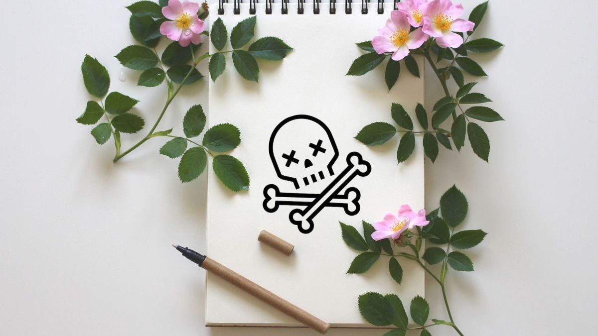 love letter love letter