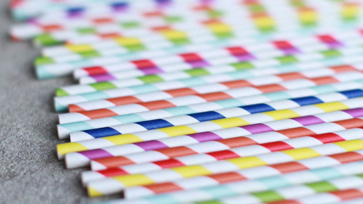 meghan-rodgers-756159-unsplash meghan-rodgers-756159-unsplash