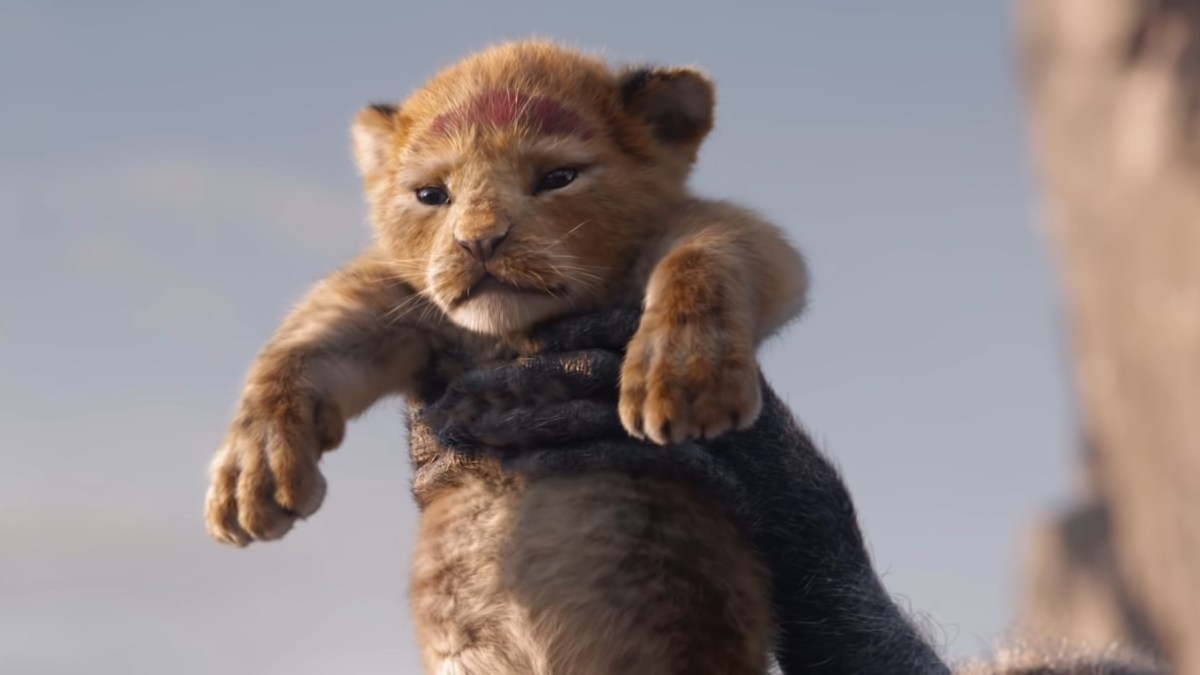 Simba. // Source : Disney Simba. // Source : Disney