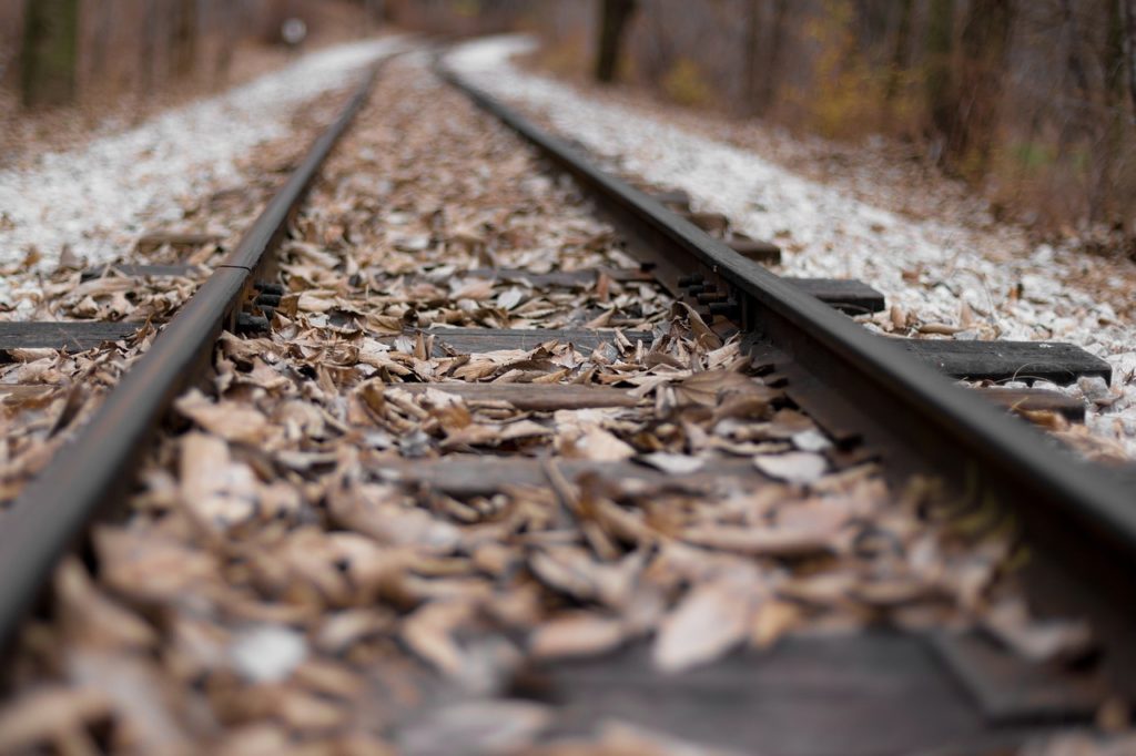 Les feuilles sont à l'origine d'une perte d'adhérence entre les roues et les rails. // Source : Max Pixel/CC0 Les feuilles sont à l'origine d'une perte d'adhérence entre les roues et les rails. // Source : Max Pixel/CC0