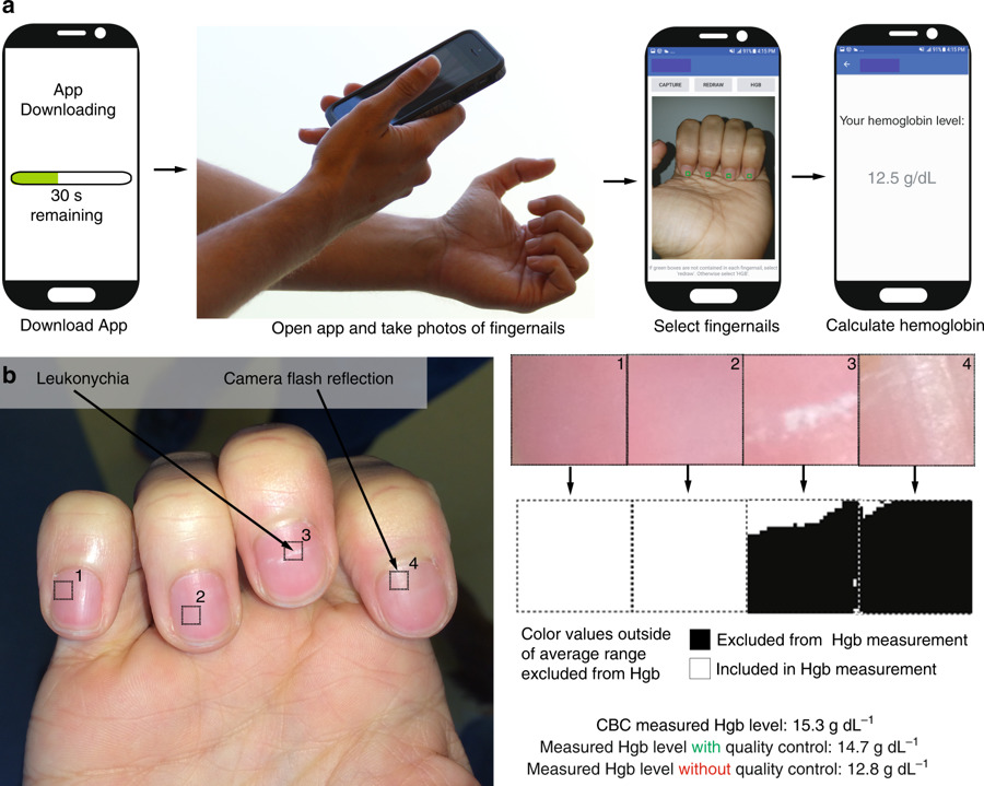 Le fonctionnement de cette app. // Source : Nature Le fonctionnement de cette app. // Source : Nature