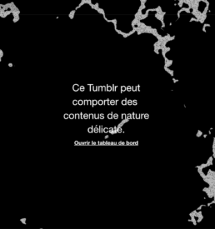 Capture d'écran d'un Tumblr français inaccessible le 18 décembre 2018 Capture d'écran d'un Tumblr français inaccessible le 18 décembre 2018