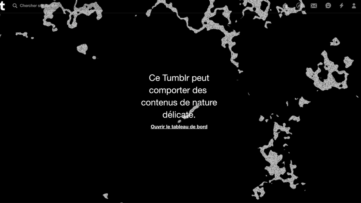 Capture d'écran d'un Tumblr français inaccessible le 18 décembre 2018 Capture d'écran d'un Tumblr français inaccessible le 18 décembre 2018