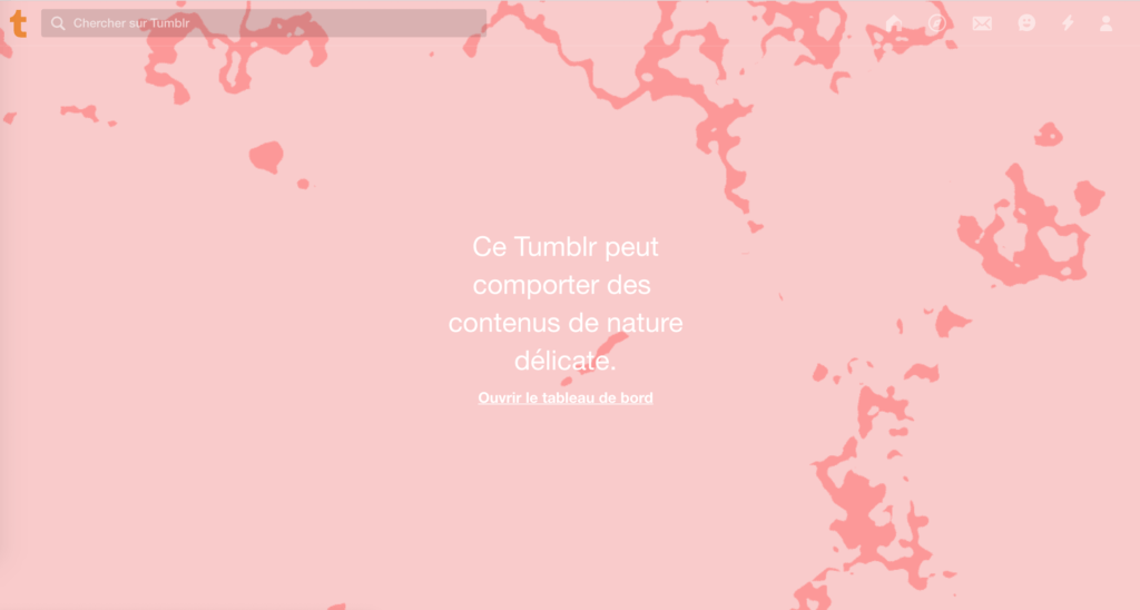 Le message qui s'affiche désormais sur Tumblr pour certains sites Le message qui s'affiche désormais sur Tumblr pour certains sites