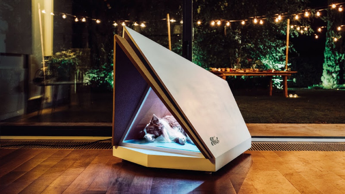Un petit chien heureux et rassuré dans une tente. // Source : Ford Un petit chien heureux et rassuré dans une tente. // Source : Ford
