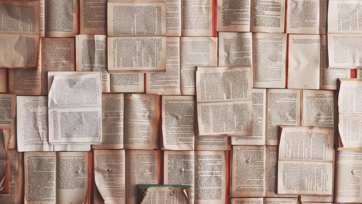 Des livres ouverts. // Source : Pixabay/CC0 (photo recadrée) Des livres ouverts. // Source : Pixabay/CC0 (photo recadrée)