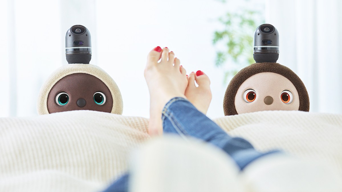 Le robot Lovot est mi-mignon, mi-creepy // Source : Groove X Le robot Lovot est mi-mignon, mi-creepy // Source : Groove X