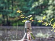 Un enregistrement dans la nature. // Source : Pxhere/CC0 (photo recadrée)