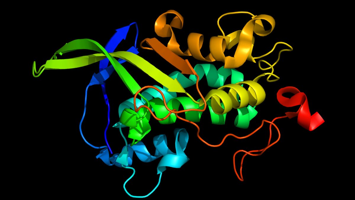 Ceci est une protéine, la NPC1 PDB 3GKH. // Source : Pleiotrope Ceci est une protéine, la NPC1 PDB 3GKH. // Source : Pleiotrope