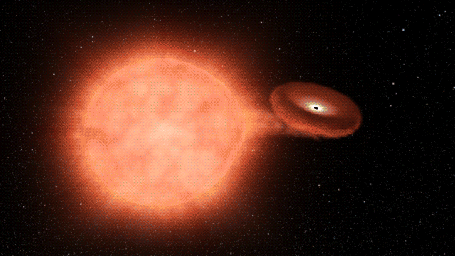 La mort de la supernova immortalisée par Kepler. // Source : NASA/JPL-Caltech