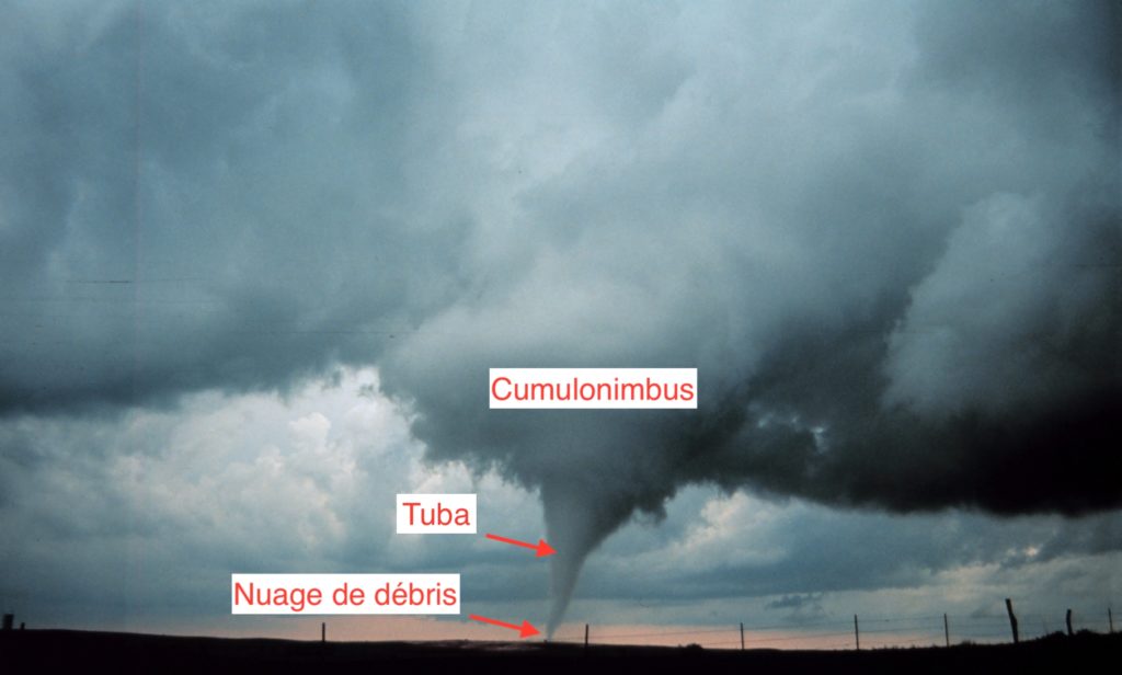 Une tornade photographiée en 1999 en Oklahoma. // Source : Wikimedia/CC/OAR/ERL/National Severe Storms Laboratory (NSSL) Une tornade photographiée en 1999 en Oklahoma. // Source : Wikimedia/CC/OAR/ERL/National Severe Storms Laboratory (NSSL)